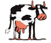 "Cow"